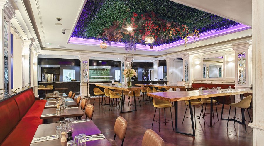 MSOCIAL - Paris
